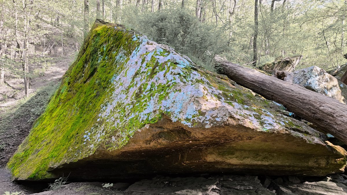 Dr_Jimmy_Dash's tweet photo. rocks, rocks, and more rocks... https://t.co/m3I1cyJtJm