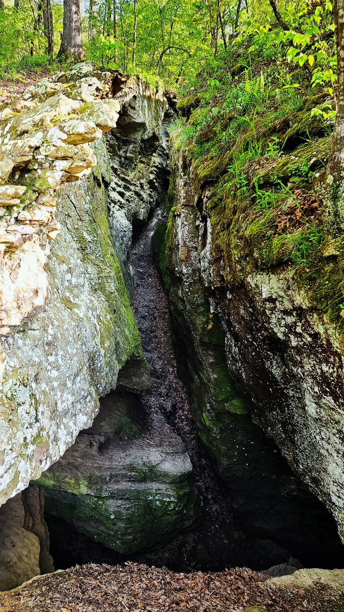 Dr_Jimmy_Dash's tweet photo. rocks, rocks, and more rocks... https://t.co/m3I1cyJtJm