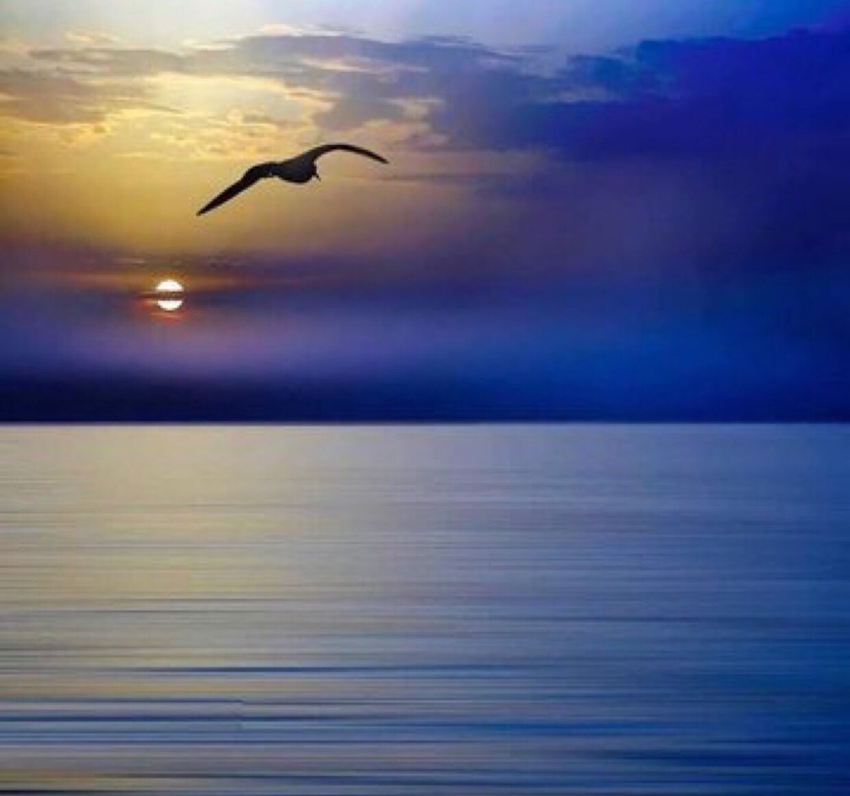 @ZeyneddinD <a href="/Ruby2211250220/">قصص 2022</a> <a href="/MaribellaAngels/">ଘTᎰᏰᏘསᎶ ᏘསᎶཛLຮഒ</a> <a href="/jet_new/">ⓙⓝ ʝɛt_ռɛա</a> <a href="/Midrees46121157/">💚💖M i k💚💝911</a> <a href="/SergioA60798547/">Sergio</a> @ngelamartine <a href="/SolyMar66091744/">SolyMar🌷</a> <a href="/sweetsexy_39/">Red #Muzikkzone</a> <a href="/darre5/">🌟DAZZ™️🌟#MGWV #RTFB #TeamUnidoS #F1#MOTOGP#RM</a> @aliciagarciaga6 @McKinnonPhD <a href="/MarEthr/">👉 Mark 28K 😜👇</a> <a href="/CharlesGavin12/">Charles.</a> <a href="/NTELLEKT/">NTELLEKT</a> <a href="/Tana_Pato/">🍃🌷ƬαƝα🌷🍃</a> <a href="/RetweeterSerial/">Fck Trump</a> <a href="/Saori__M/">ღƪ(ˆ◡ˆ)ʃ♡ℳДƦîƝ இ️ ♡</a> @GRAHAM15583070 @t9_su1 <a href="/SiscoMGWV/">🔶️Sisco #1DDrive 110k🔶️</a> <a href="/wanderingstarz1/">Vincent Steele</a> <a href="/Angel_Stockler/">༺🎀𓆩ʚ Aɳɠєℓ Lυɳɳα ɞ𓆪🎀༻ </a> <a href="/Stallion_Team2/">Frankie</a> <a href="/Therealroland02/">The RAPTOR02,#1DDrive,#TEAMSTALLION</a> <a href="/DanDolphin1/">Philip Daniel🏈🏄🎿⚾🥊🎣</a> <a href="/LeillaLuna/">leillα⚘</a> <a href="/lumpie125/">lumpie125</a> <a href="/swydersk/">Deb #TmPetaL🌹#Resist💙 #NeverTrump Enjoy the ride</a> <a href="/Spencerjames211/">Spencer James #GAINWITHPETAL #TMPETAL #Teamspirit</a> <a href="/Jameshenry1970/">James Henry</a> <a href="/hortkoff3/">💢MGWV💢 60k</a> <a href="/arielly_h/">Arielly Vitória H</a> <a href="/PopRioRe/">PopRioRe 🦄🦄 #TEAMSTALLION</a> <a href="/kom_ofis/">#MY2KOM #MGWV #1DDrive</a> @Praizeee <a href="/nuvisionquestt2/">🦅Nu_Vision_Quest_Type2🏹</a> <a href="/THEWORDINCHRIST/">🌿🗝LORD👑JESUS</a> <a href="/rodmedi12/">🅳🅰🆁🆃🅷 🆅 👉 40 K 👈</a> <a href="/ginestarros/">SuperGina♥️💚♥️</a> @1goddessLucy <a href="/___marcio/">marcio</a> <a href="/PetalsTm/">Randi #PetalsTm/admn for PetalTeams</a> <a href="/JavaDeveloper38/">Berkan Cetin</a> <a href="/MariadeliaSofia/">Sofia</a> @teamaikamu <a href="/louzival2011/">🇧🇷Louzival 2011 MGWV</a> @DarleyR250 ◾️RETWEET 

◾️IF

◾️YOU

◼️FOLLOWBACK

F O L L O W 👣
    🏆T O P - T E A M S🏆

#TM_RUBY #CircleOfFriends
#TeamAIKAMU #DrNikolova #ZeTeam
#ELITELEGENDZ #TEAMSTALLION
#TFBANG #TeamAngels #TMUS
#MGWV #TheOhioPlayersProject
#Muzikkzone #1DDrive #TmPetal 
<a href="/Ruby2211250220/">قصص 2022</a> @zeyni1970