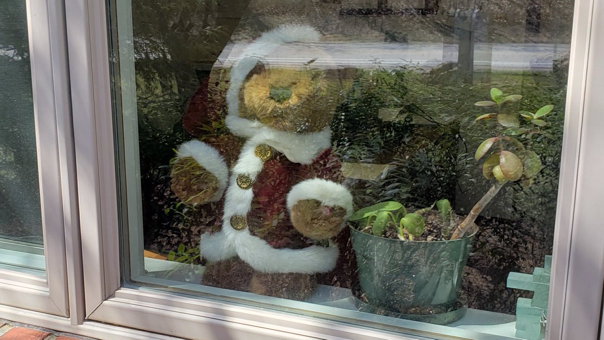 If you saw our bear while driving by, we part of the teddy bear hunt.
The idea is that while you're out on a walk or bike ride, your kids can be on the lookout for teddy bears in the windows of homes. It's something families can do without interacting with others.
