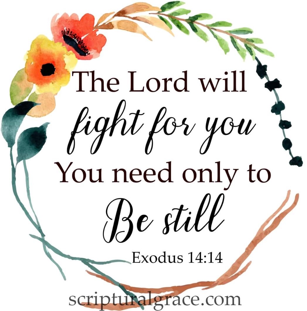 lisawessel67's tweet photo. Number 10 in my Exodus 14:14 meme collection. #exodus #Bible #bibleverse https://t.co/HQf6lemeOh
