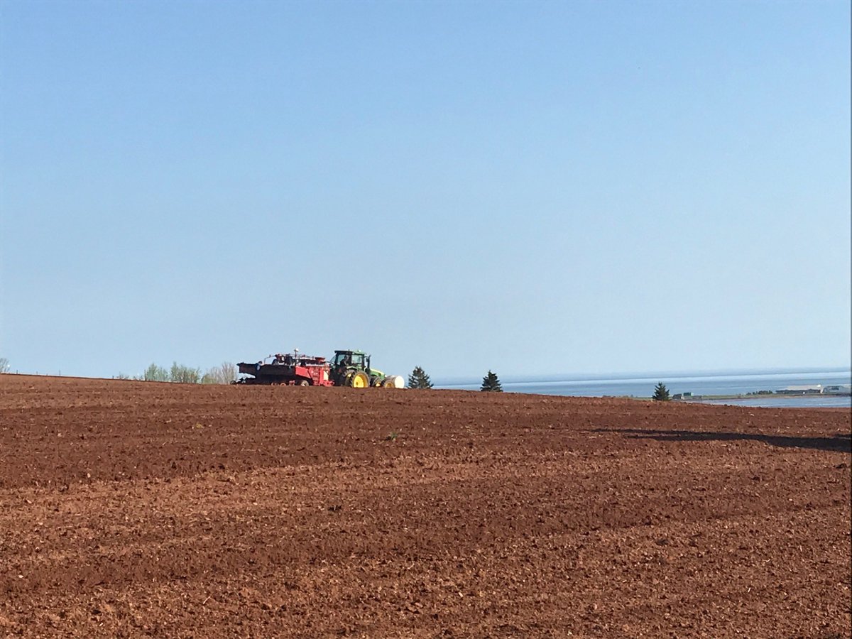 Potato planting  time in Prince Edward Island. Could it be more scenic!