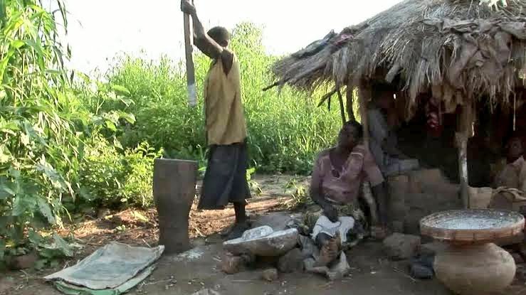 One article said: “They live on rich land so if they learnt to use the right skills and equipment they could farm. But due to their dislike for change, their future is bleak”Boo I’m sure a govt official wrote that! On a “Let’s call them lazy instead of helping them" tip 