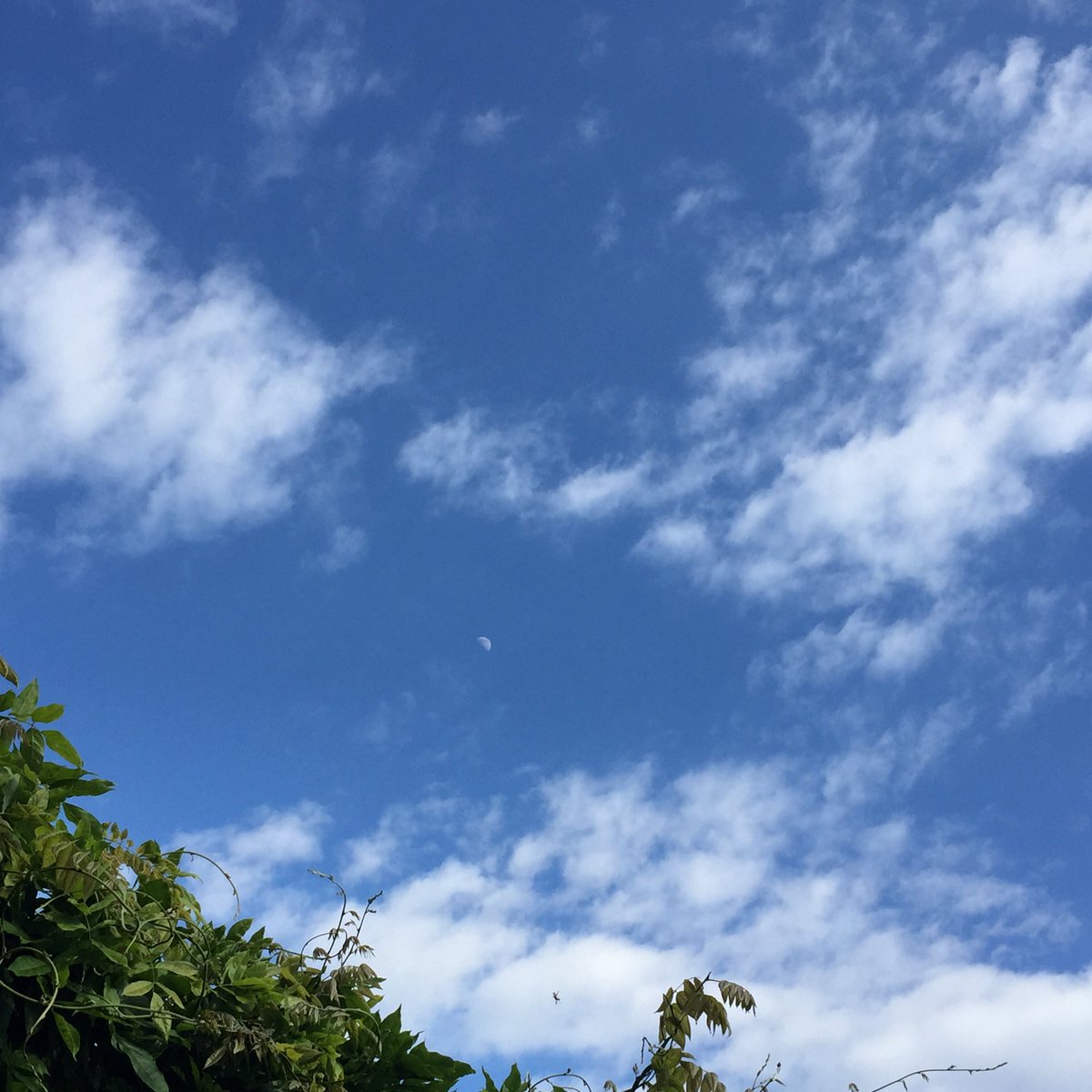 ReclayGroup's tweet image. #PhotosOfMyLife Day 5/7. Jeden Tag ein Foto. Eine Woche lang. Keine Menschen, keine Erklärungen. Jeden Tag eine Einladung, sich zu beteiligen. Danke an @bvsenews Hello @MPE_Germany