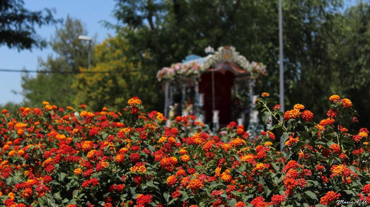 Colores de Mayo.

#Rocío2020 #RocíoJubilar #RocíodeLuz #RomeríadelRocío #RocíoenCasa #Almonte @hdadmatrizrocio