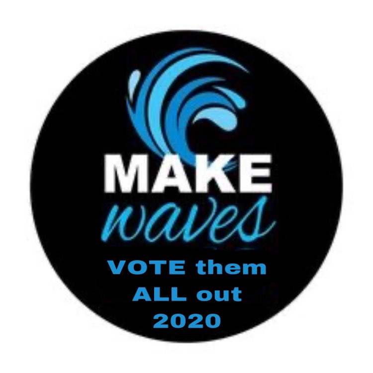 We are the future and we determine how our future will be #BlueWave2020  #ThisRacistShitHasGotToStop