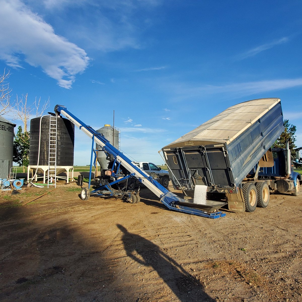 Fabian Seed Farms Inc. tweet media