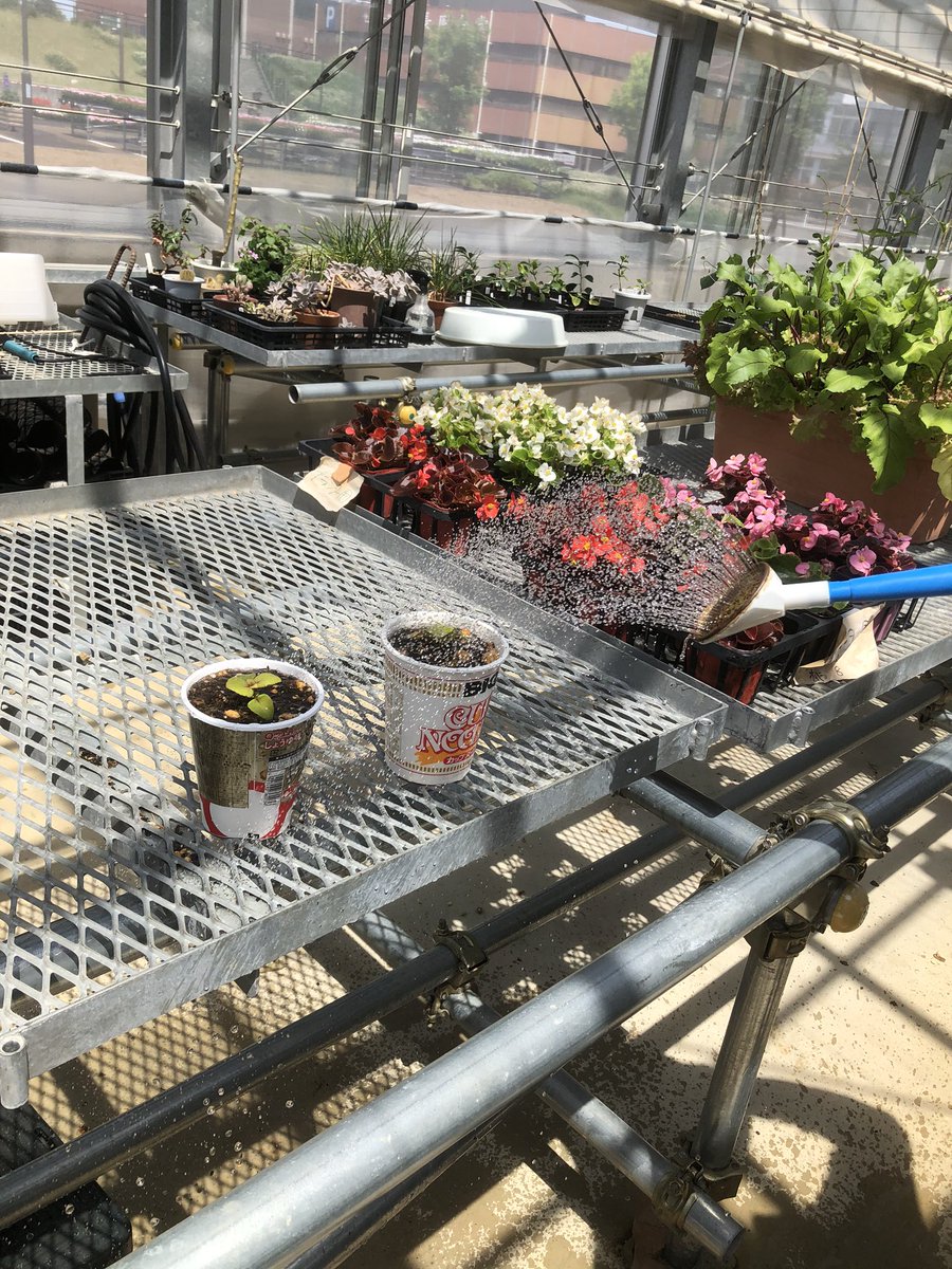 9d E4 B8 8a 81 92 Twitter Search