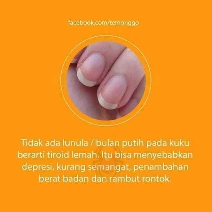 sagg 🪕🦢🪷🪞✨ tweet media