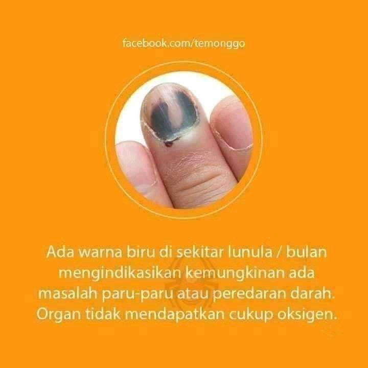 ✨-Cek kuku kamu-
