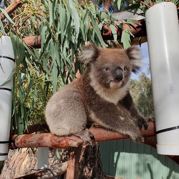 Thursday, May 28th, 2020