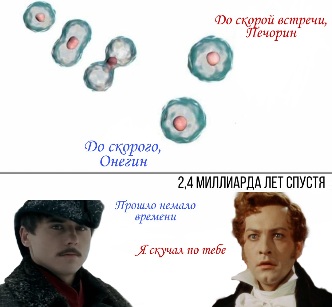 Литературные мемы Евгений Онегин