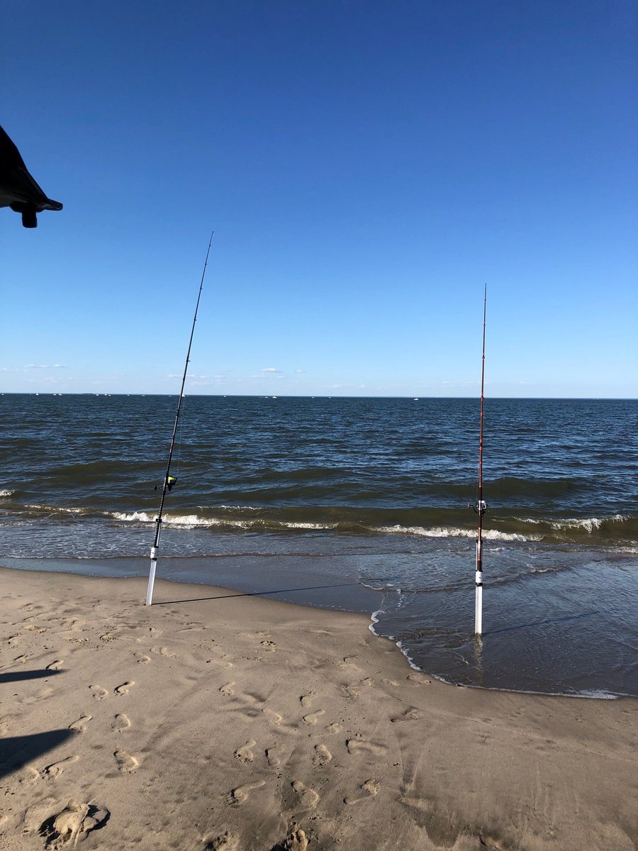 gfdempsey's tweet photo. First fishing of 2020! (@ Beach Plum Island Preserves in Lewes, DE) https://t.co/ECiGh4sPHk https://t.co/ZmezAZJaYY