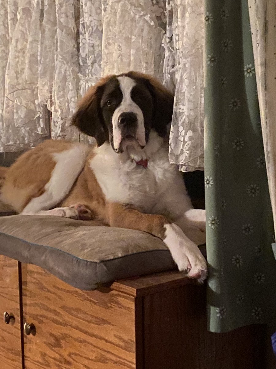 New Home Depot family member.