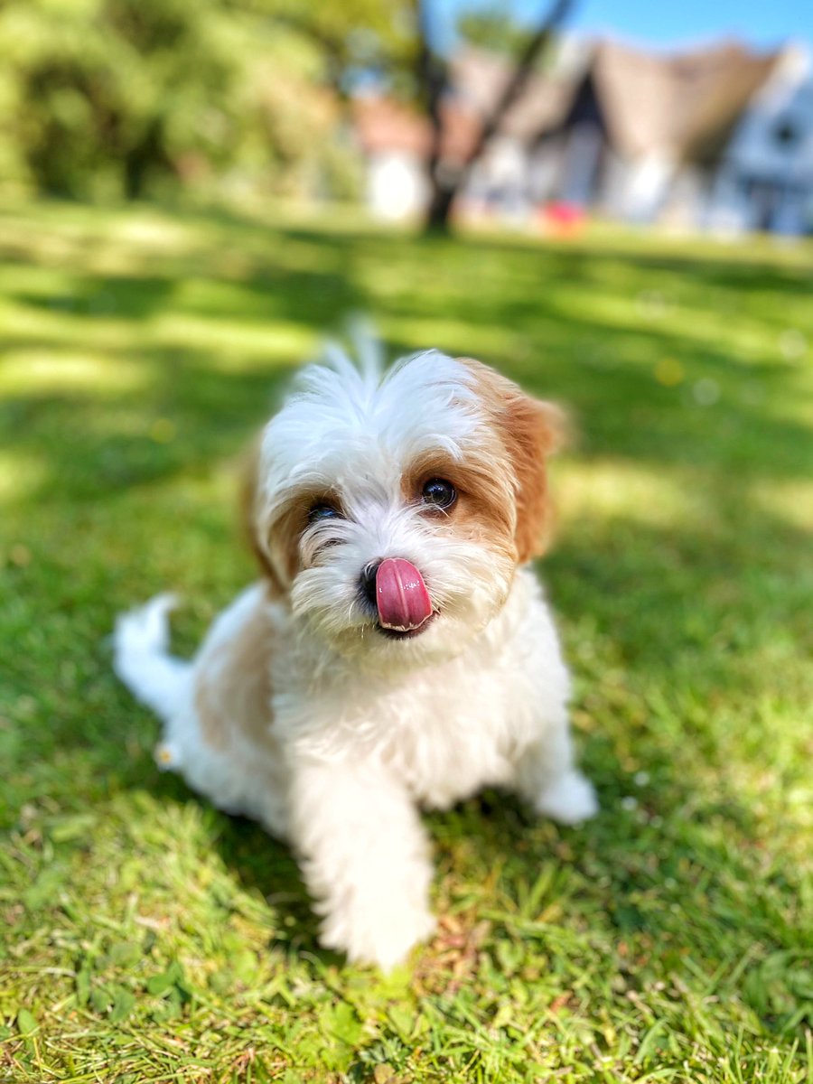 Hiya just a little happiness for your timeline