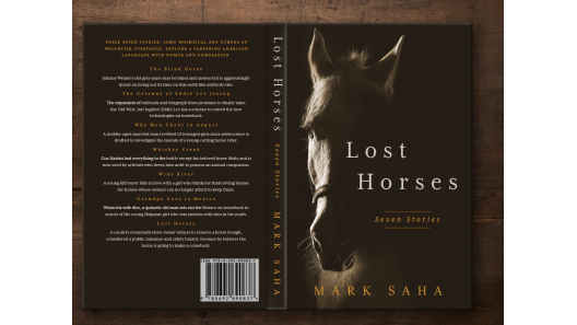 book_tribe's tweet photo. • Seven essential American tales explore the heartland. “Unique and insightful.” - Amazon #booksontwitter #ExploreNewBooks https://t.co/KGkF9zLba0 https://t.co/X6o616hpfd