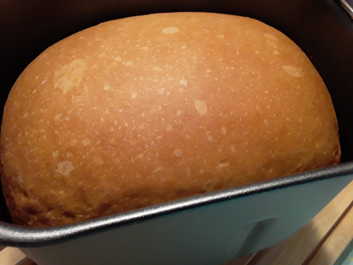 MariainIndiana's tweet photo. Fresh from #thebreadmaker
#sweetamishbread 🍞 #bread #freshbread #bakinglovers #breadlovers
I am happy every time I can make a nice looking delicious bread although I only use the breadmaker😀 https://t.co/P7H7P8T0ui