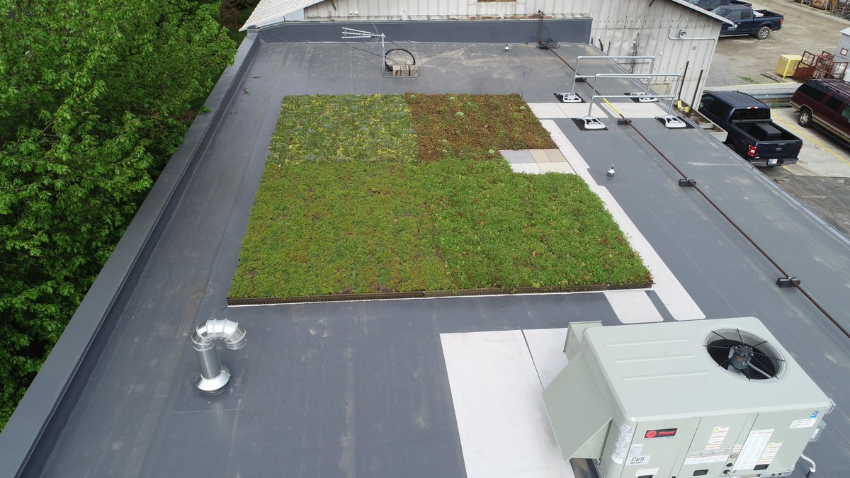 CoMidland's tweet photo. A green roof is a roof of a building that is partially or completely covered with vegetation and a growing medium, planted over a waterproofing membrane. Atop our building on South Bend's north side, our version of a green roof looks for some sunlight on a cloudy day. #roofing https://t.co/JcEpAVEWOD