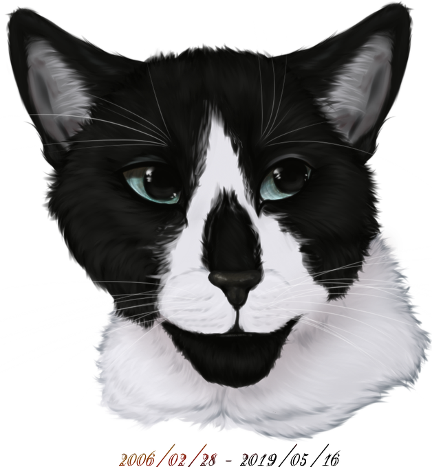 Noidsのtwitterイラスト検索結果 古い順 Noidsのtwitterイラスト検索結果 古い順