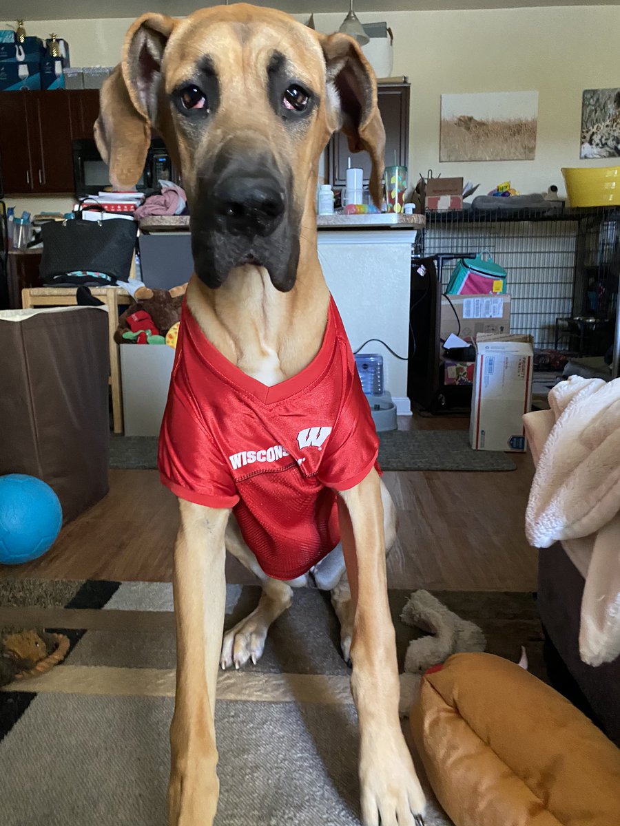 Dr.Kristyn Darmafall tweet media