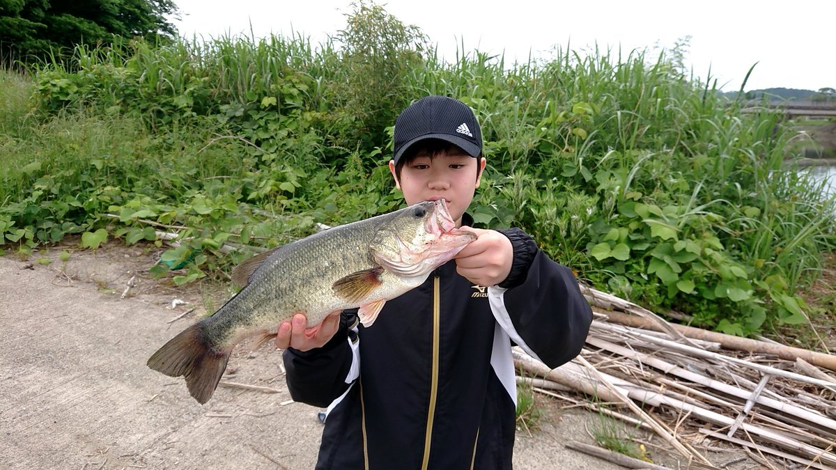 ドライブビーバー10gフリーリグ