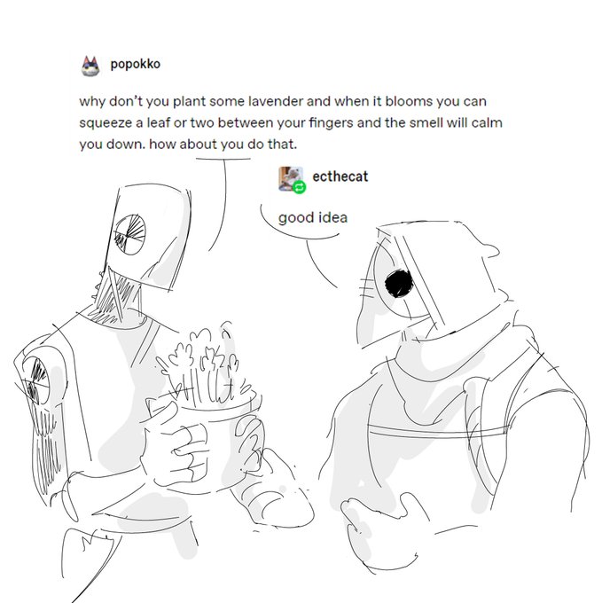 wait. have some funny 