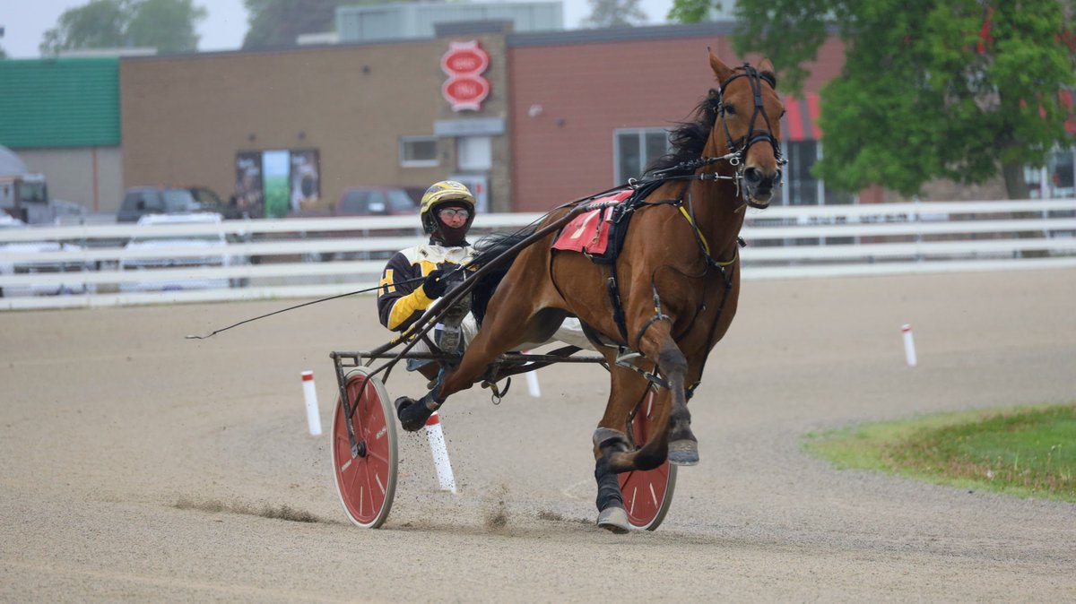 offandpacing_ry's tweet photo. Today's Qs @HRaceway #Fave4
If you had a horse in, let me know and I will send you any photos I have π https://t.co/0ZIXIxqxZm