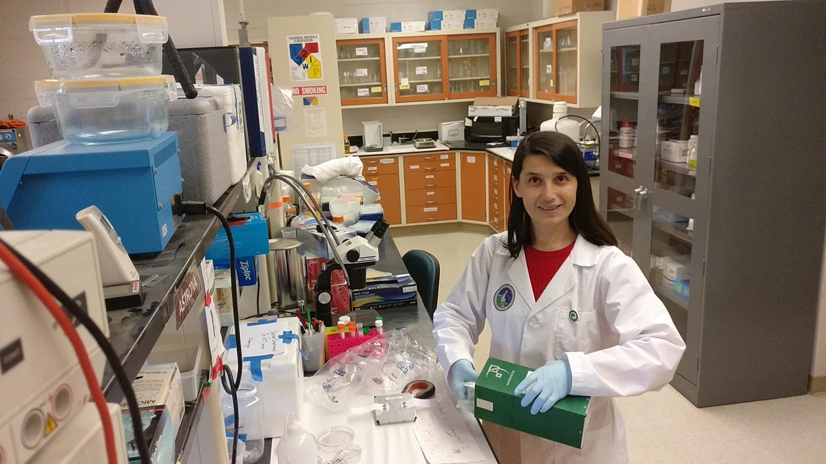astronematode's tweet photo. We are hiring! @pheronym is seeking a candidate with broad experience in Nematology to join us in Davis, CA starting July 8, 2020. @agstart  @VINE_io @TheFoodFront @selectsac @sacstartup @indbio @yggdrasil13751
https://t.co/OiB4PElgMj https://t.co/ZC7zSBQ5jI