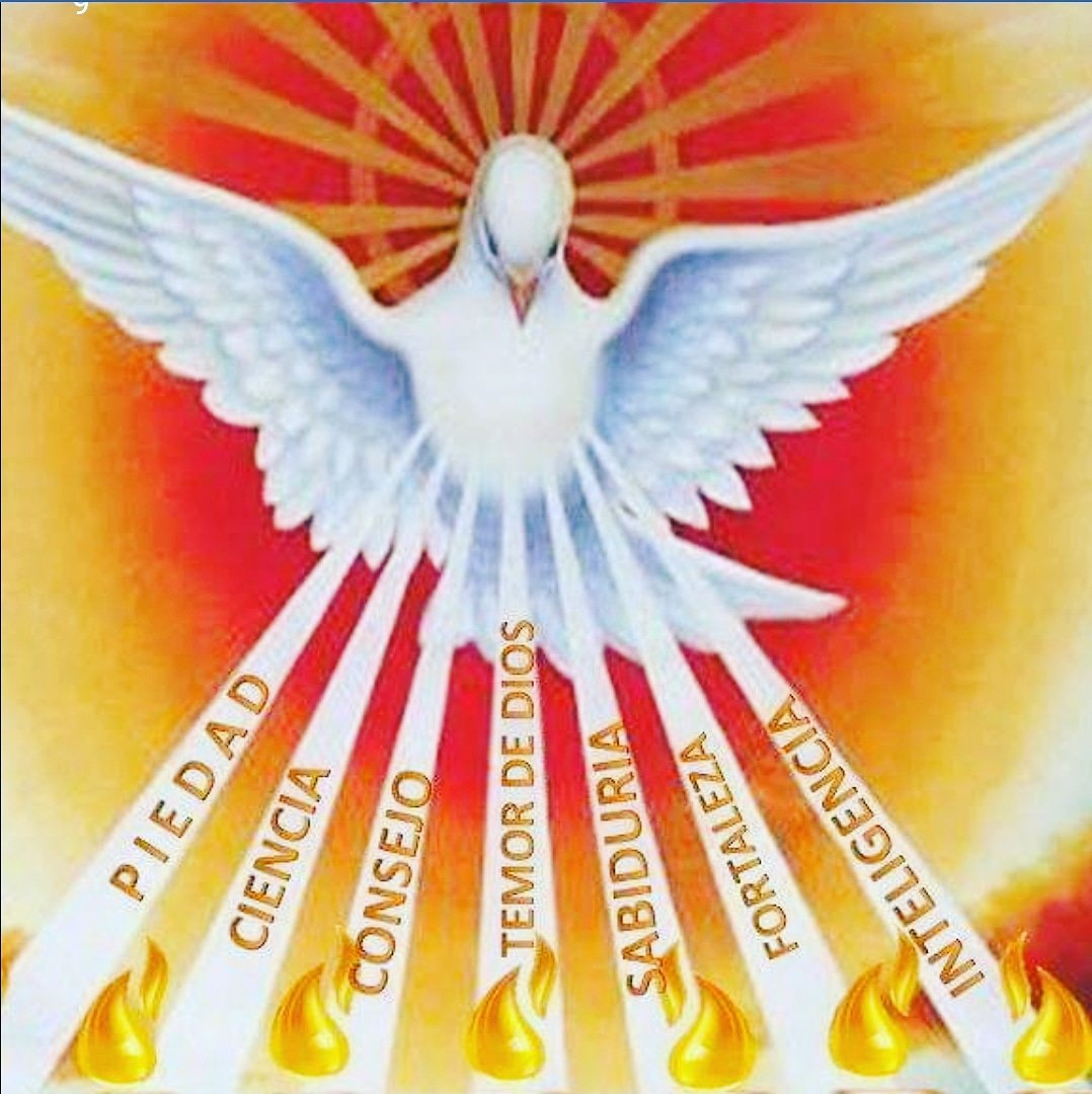 Ven Espíritu Santo, vacíame de mí y lléname de Tí. Manda tu luz desde el cielo. Derrama tus dones de  sabiduría, entendimiento, fortaleza, consejo, ciencia, piedad y temor de Dios. Mira el vacío del hombre si Tú le faltas por dentro.