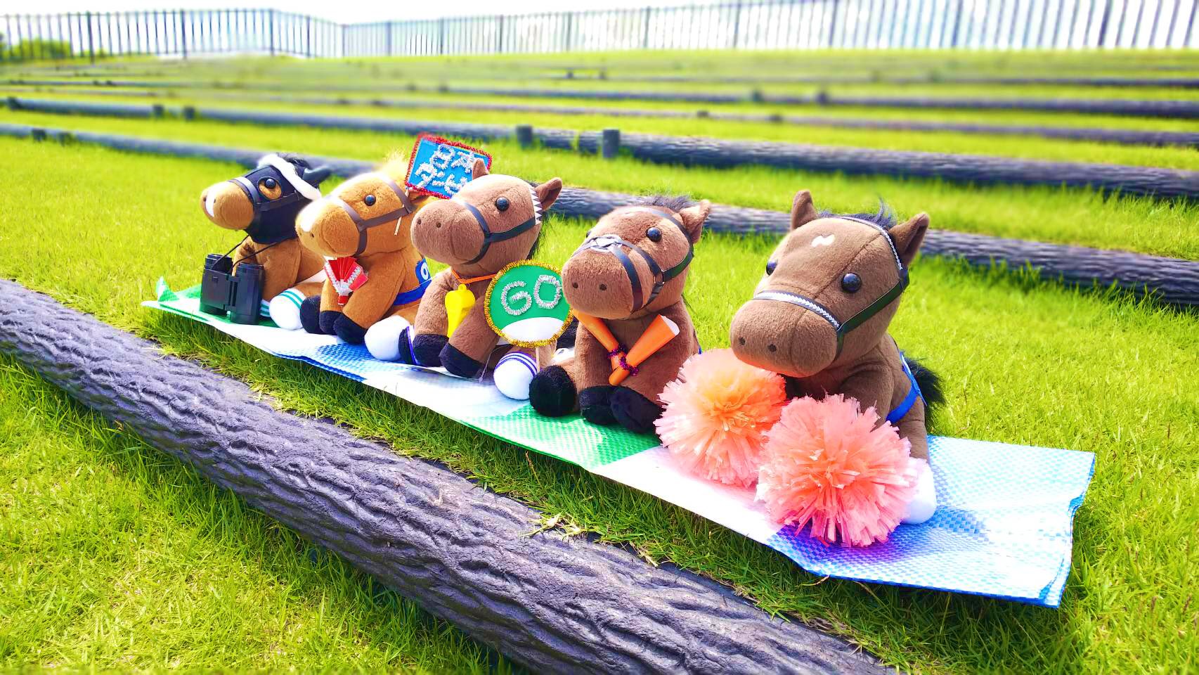 JRA京都競馬場 on X: 