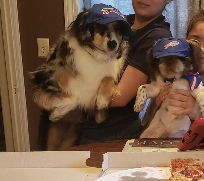 _LaurenRay_'s tweet photo. Cutest Bills fans in the whole world https://t.co/0OQaydwTOY