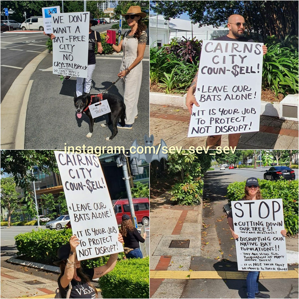 Bats_Rule's tweet photo. Megabat eviction protest Cairns Qld 052020
Sign here➡️ https://t.co/ICyEmquoc3
Like here➡️ https://t.co/fg8OXul3lR
https://t.co/NqNZbf6Xu2
https://t.co/7KhFJIcR0T
#BatsRule #Megabat #Flyingfox #bats #bat #fruitbat #foxbat #wildlife #wildliferescue #batsofaustralia https://t.co/c1wfEuEsZs