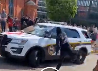 Here is a closer look at this THUG