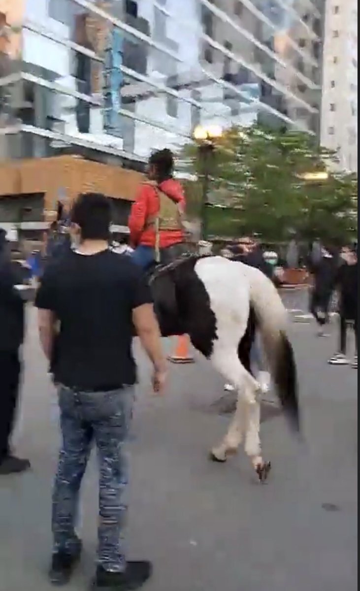 Chicago’s Black cowboy has joined the Protest #DayOfProtest #GeorgeFloyd #BreonnaTaylor #TonyMcDade #PierreLoury #RonaldJohnson #AbolitionNow #CPACnow