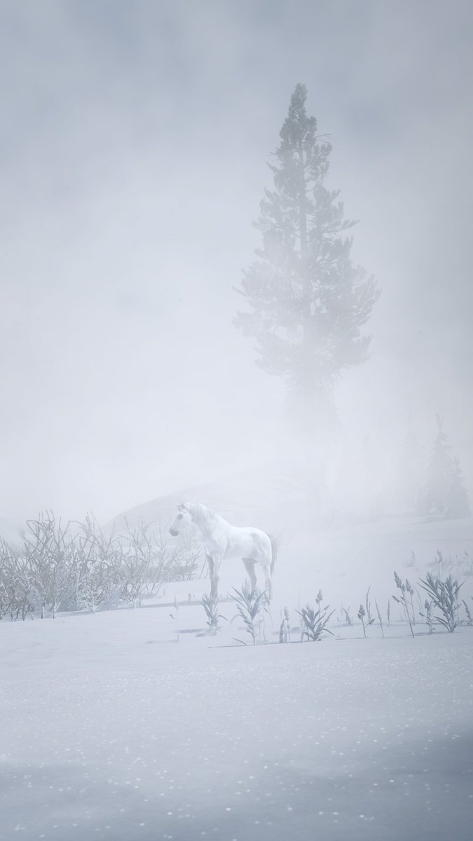 November 2019. RDR2 comes on PCI discover proper camera tools. That's a WHOLE NEW world spreading before my eyes.It's litterally the Wild West for me. I try to push my comfort zones, I experiment a lot, I PLAY VP very very much.Freedom feeling is real, thanks to camera tools