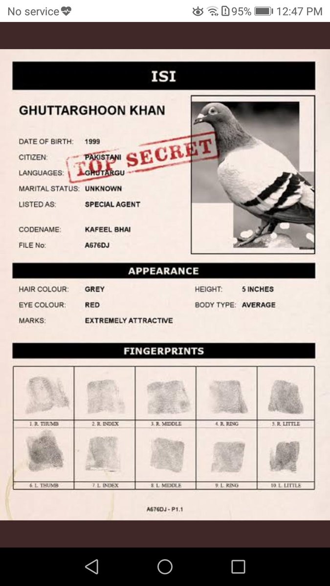 CynthiaDRitchie's tweet image. My note to respected @SeharKamran of PPP along with evidentiary support of my 'notorious' activities. 

Although 'Date of Birth', 'Languages', 'CodeName', &amp;amp; 'Height' are inaccurate, 'Marital Status' and 'Marks' are accurate. 😉

Though I am offended by 'bodytype'-  but kuchniya.