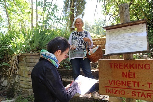 Donatella Cinelli Colombini indica i primi elementi per l'enoturismo in tempo di Covid -19

italiadelvino.com/redazionali.as…

#turismodelvino #covid19  #turismoenogastronomico #donatellacinellicolombini #trekking #vigne #cantineaperte #mtv #movimentoturismodelvino #CasatoPrimeDonne