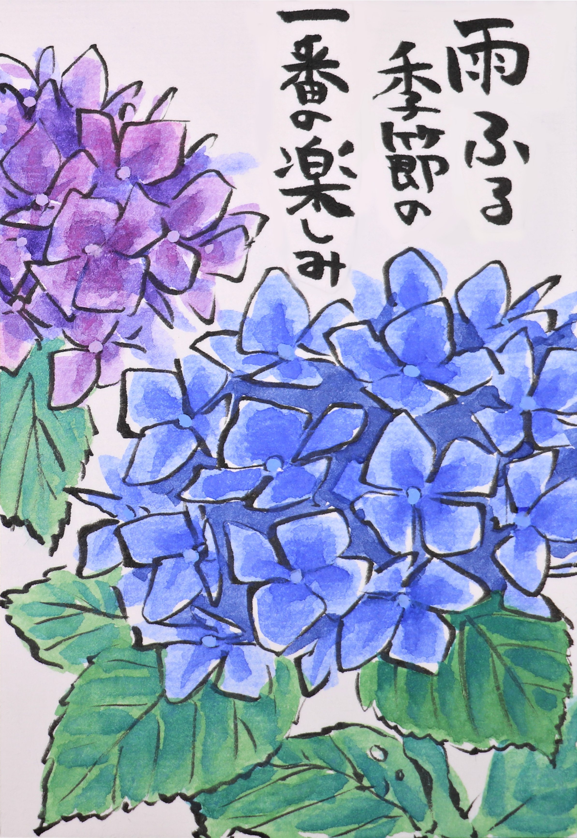 快適art絵手紙 今年はすでに２作品紫陽花を描きました 他にもまだ描きたい品種が どれを描こうかな Youtubeにて 描き方解説動画をあげています 西洋紫陽花 T Co Pxbqco7pqw ガクアジサイ T Co Okzui4y52c 絵手紙 快適絵手紙