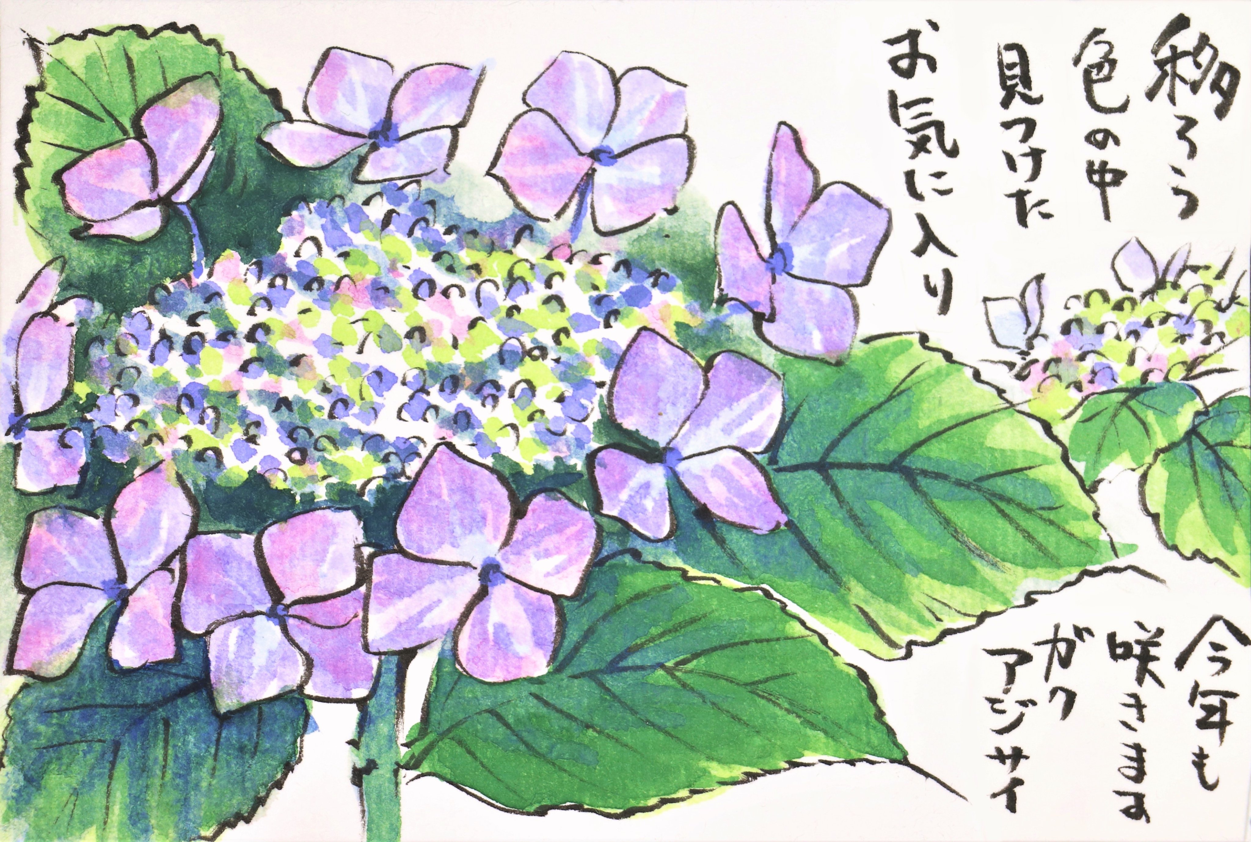 快適art絵手紙 今年はすでに２作品紫陽花を描きました 他にもまだ描きたい品種が どれを描こうかな Youtubeにて描き方解説動画をあげています 西洋紫陽花 T Co Pxbqco7pqw ガクアジサイ T Co Okzui4y52c 絵手紙 快適絵手紙