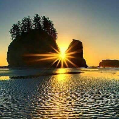 Sakr❤️❤️❤️ (@sakrboss77) on Twitter photo 