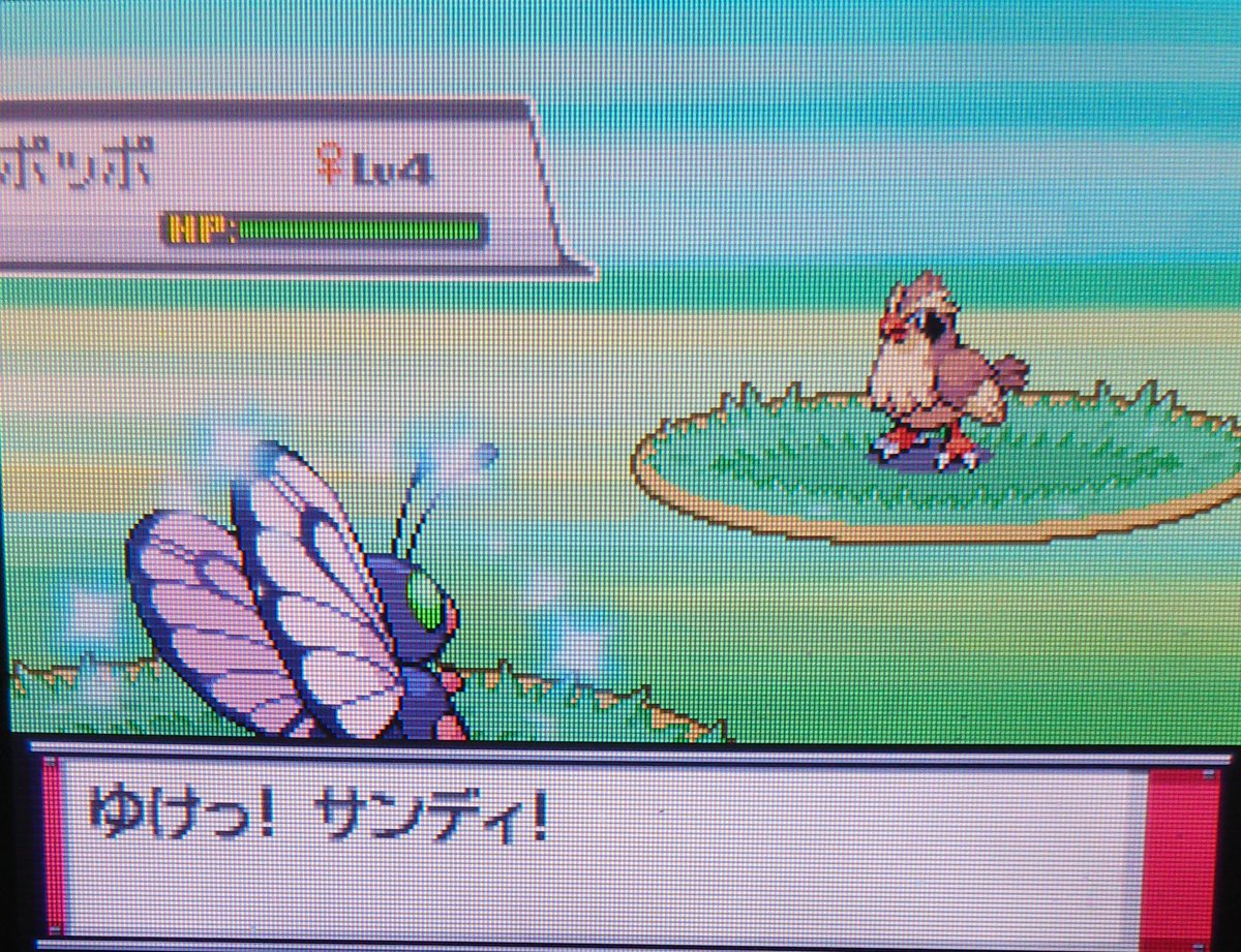 きりん 色違いハンター ポケットモンスターハートゴールド サンディがバタフリーに進化 色違いポケモン きりん 色違いハンター ポケットモンスターハートゴールド サンディがバタフリーに進化 色違いポケモン