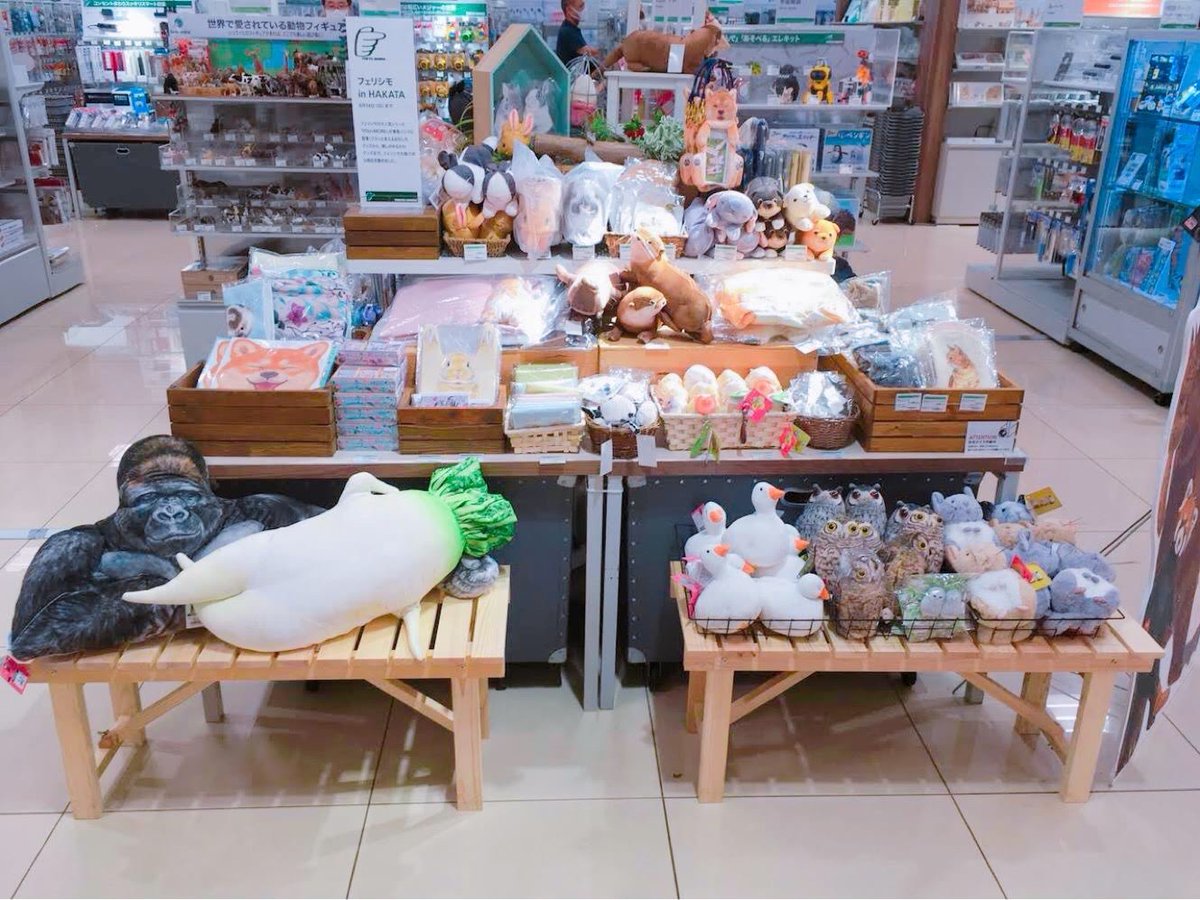 東急ハンズ博多店 か わ い い あのフェリシモからyou More のかわいい雑貨たちが博多店に大集合 日常使いできるポーチから おもしろインテリアまであなたの心を癒してくれること間違いなしです フェリシモ 東急ハンズ博多店 4階 映え 東急ハンズ博多店 か わ い い あのフェリシモからyou More のかわいい雑貨たちが博多店に大集合 日常使いできるポーチから おもしろインテリアまであなたの心を癒してくれること間違いなしです フェリシモ 東急ハンズ博多店 4階 映え