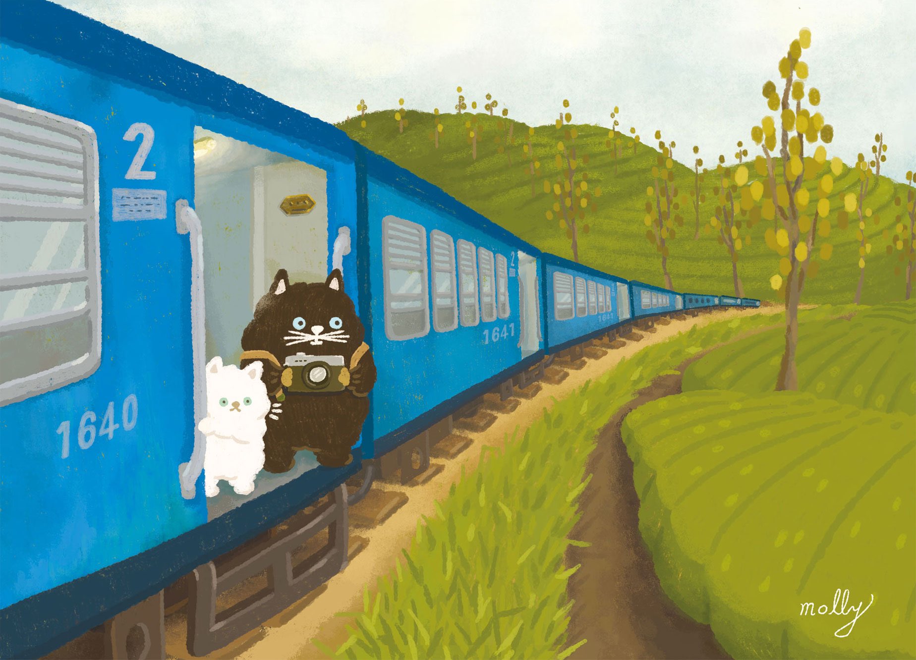 Molly Illustration Mollychihiro Twitter