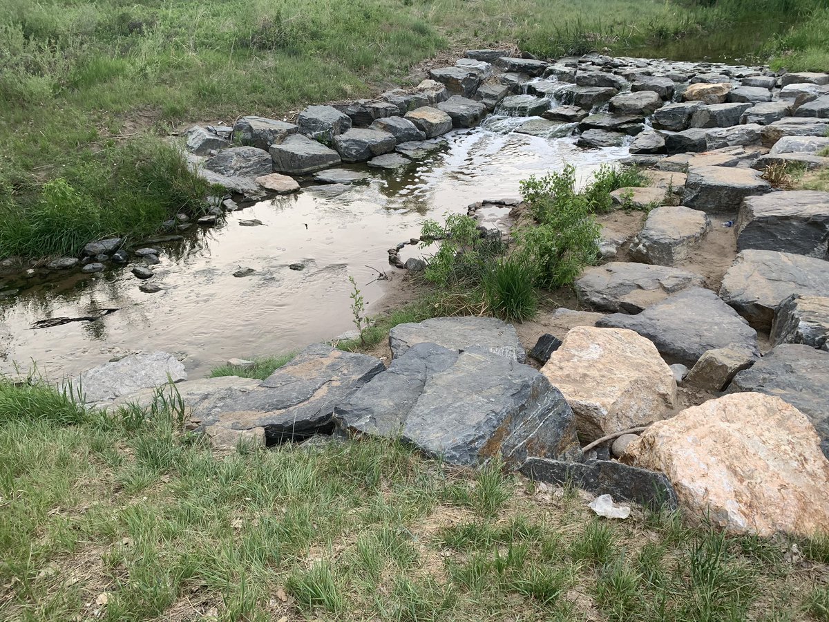 LBopenbook's tweet photo. Before bed walk through our neighborhood with lots of lovely nature pals #blessingsofColorado #outsideoasis #walkforpeace https://t.co/XsQutKy6Lz