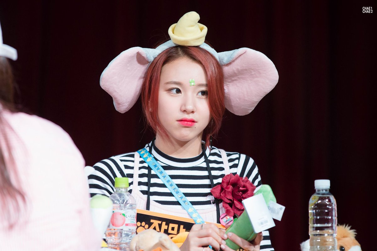 平井japan ちなみにチェヨンに渡したダンボカチューシャは高校の卒業旅行で買ったやつです 笑 ばぶい ばびぃ