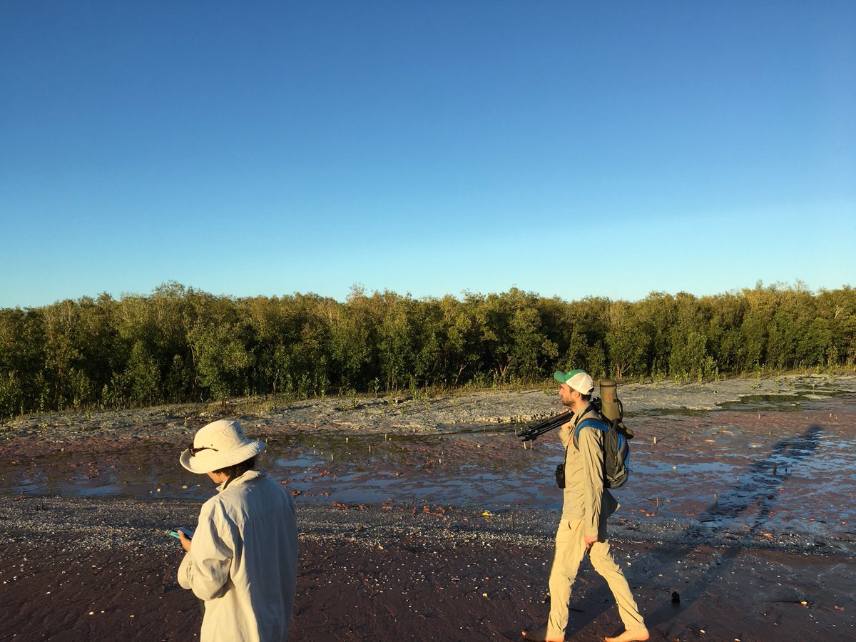 Broome Bird Observatory tweet media