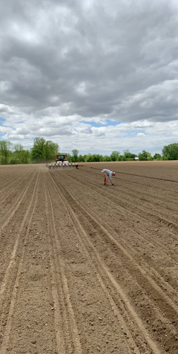 VynMichelle's tweet photo. Great afternoon for plot planting with the legendary @chapple_mc. Can't wait to see the @PRIDESEEDS beans come up! https://t.co/ARNHiB0Ek8