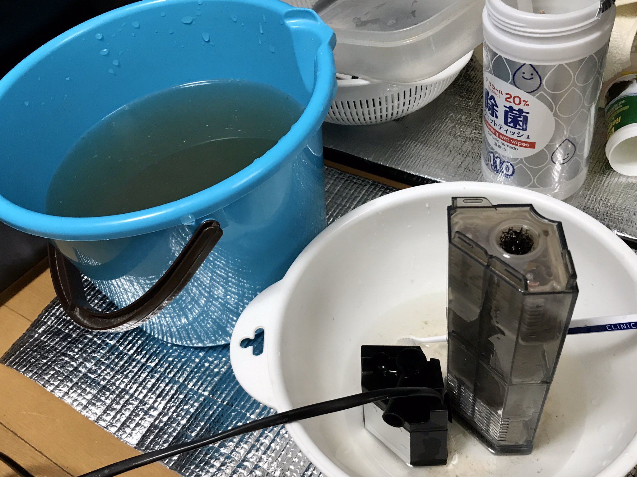 تويتر クサガメたわし على تويتر 毎週のフィルターそうじ 例によって干して待機です たわし水槽では毎日の換水は約5l フィルターそうじの日は約10l 日光でカルキ抜きした水を使います 今日は少し冷えるので煮沸したお湯で温度合わせ 亀 カメ クサガメ