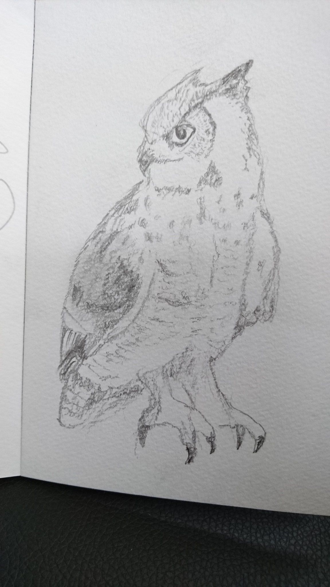 フクロウスキ Fukurowsky Twitter