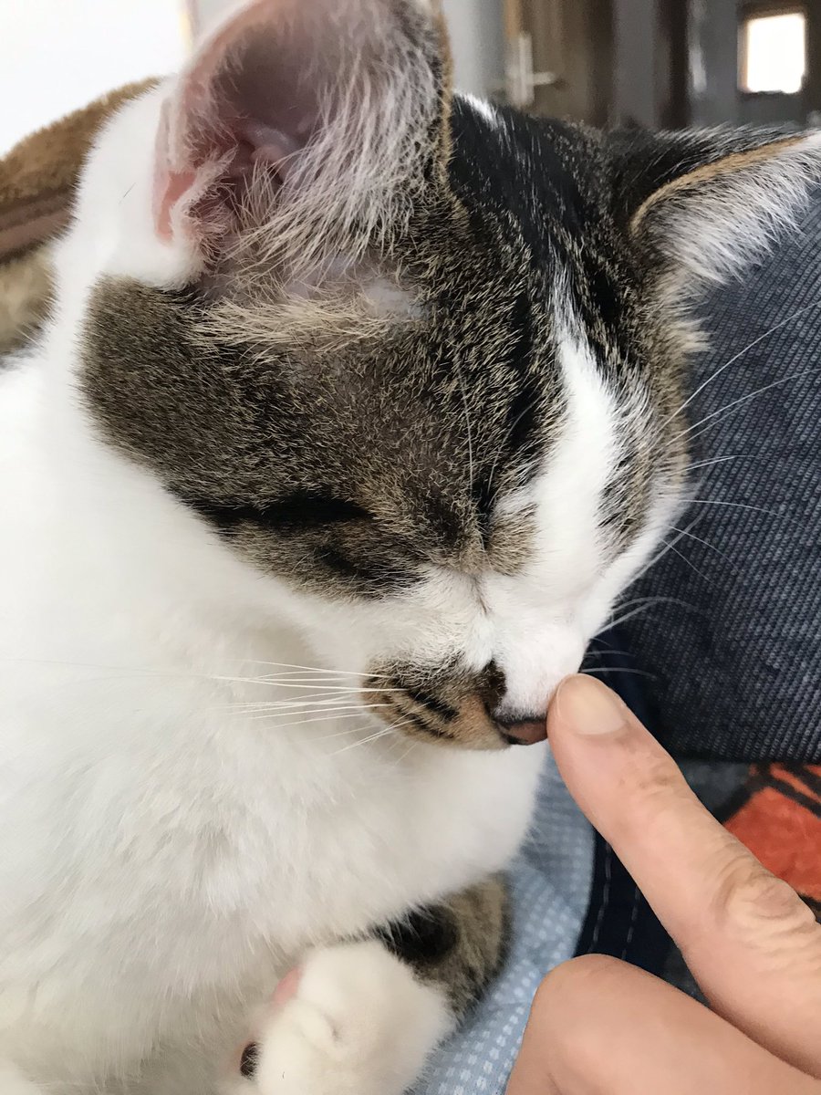 たけ (@tale10620725) on Twitter photo 